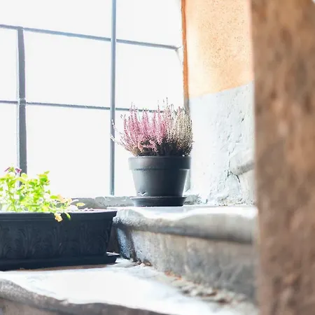 Doyenne Vieux 아파트 *