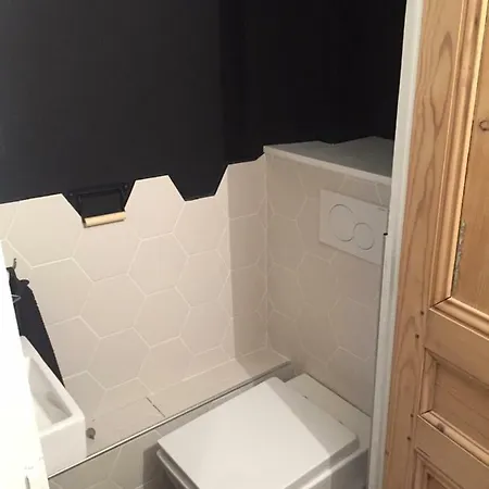 Doyenne Vieux 아파트 리옹